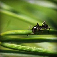 /album/hlat-us/photolia-a05-jpg/