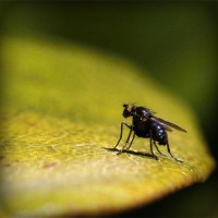 /album/hlat-us/photolia-a07-jpg/
