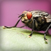 /album/hlat-us/photolia-a08-jpg/